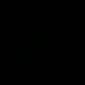 Meet your Posher, Hayden